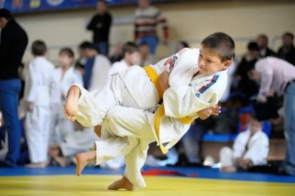 Спортивный клуб дзюдо и самбо Masters (в мкр. Крутые Ключи), фото 2