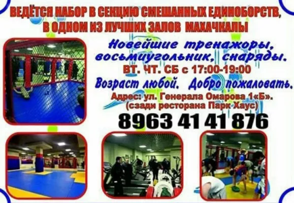 Смешанные единоборства