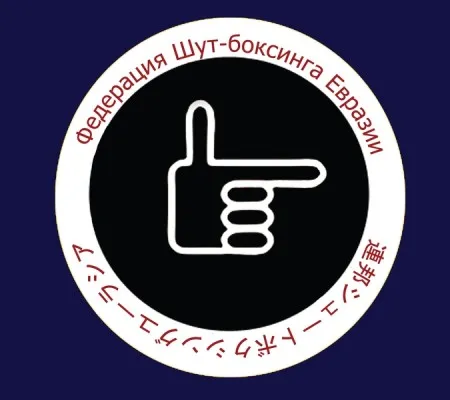 Единоборства: бокс, ММА, борьба, рукопашный бой, фото 2