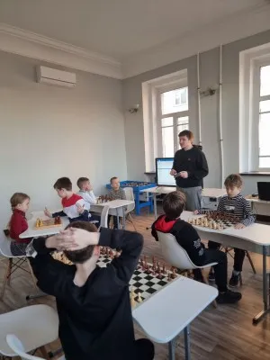 Шахматы для начинающих, фото 2