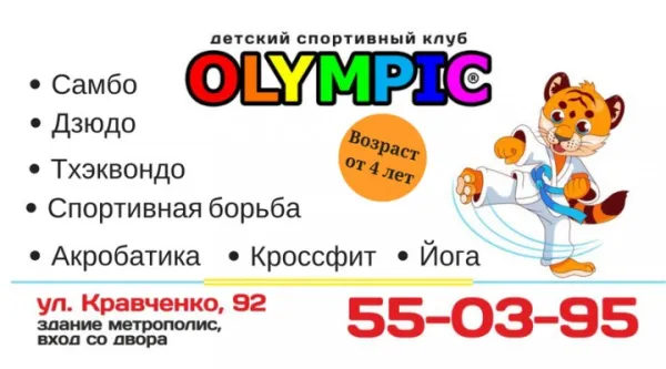 Секции акробатики и единоборств
