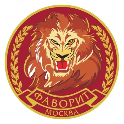 Спортивный Клуб "Фаворит" Братеево, фото 3
