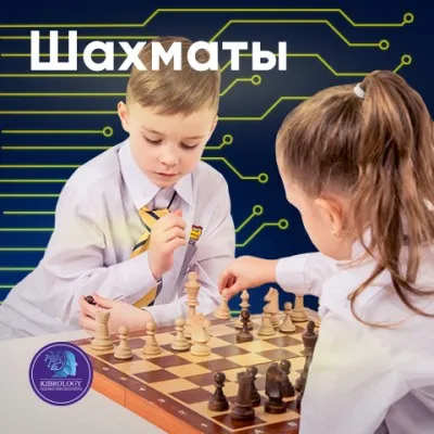 Шахматы