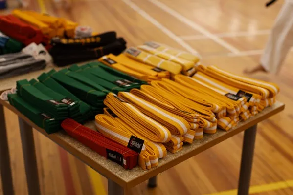 Дзаншин - каратэ клуб, фото 2