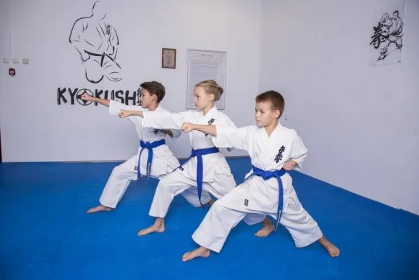 Карате киокушинкай
