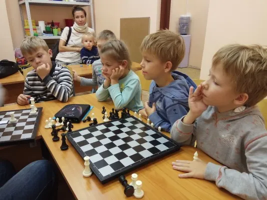 Шахматы