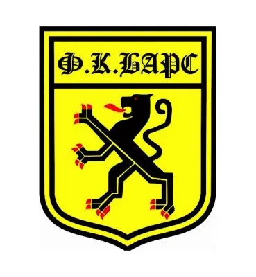 Футбольный школа Барс (Адмиралтейский р-н, наб. Обводного канала, 74О)
