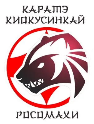 Каратэ Киокусинкай, фото 1