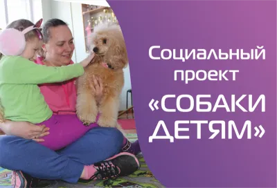 Автономная некоммерческая организация Центр всестороннего развития "МЫ ВМЕСТЕ"