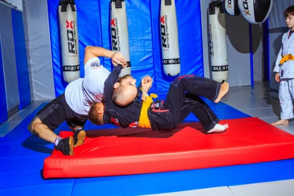 ММА, бокс, грэпплинг, BJJ, тайский бокс