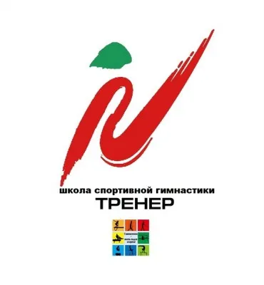Спортивная гимнастика для мальчиков