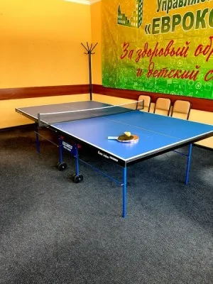 Настольный теннис, фото 2