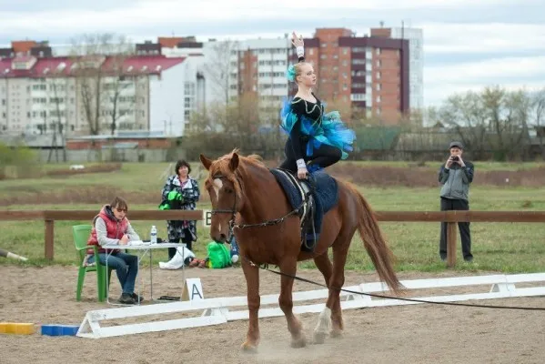 Вольтижировка, фото 3