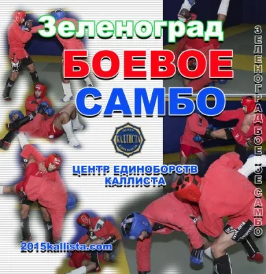 Боевое самбо