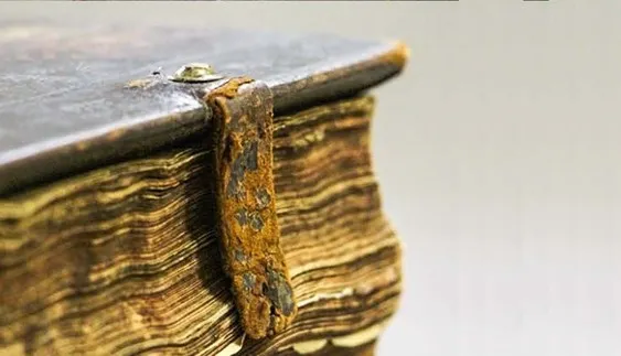 Эксклюзивные экскурсии по Омскому музею книги