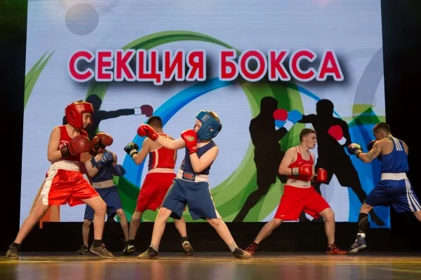 секция БОКСА, фото 1
