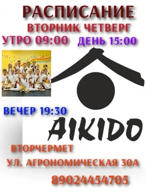 Айкидо для детей 5+