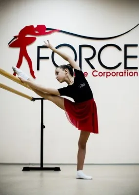 Force Dance Corporation, фото 4