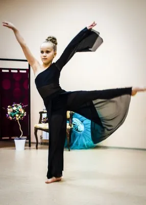 Force Dance Corporation, фото 2