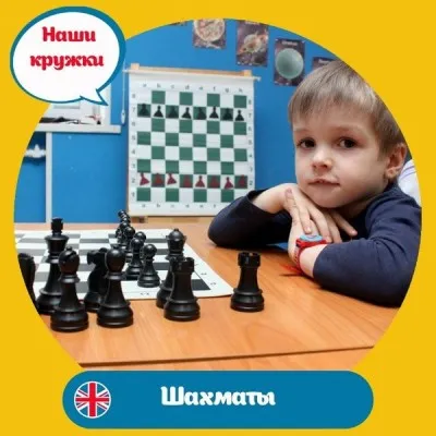 Шахматы, фото 2