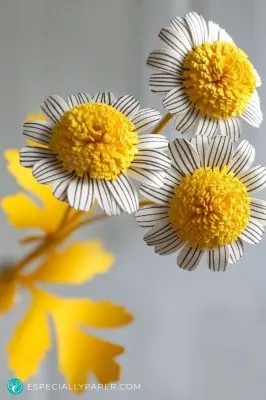 Флористика