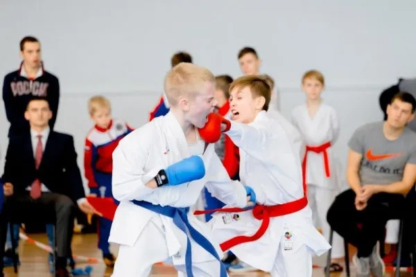 Школа олимпийского карате WKF, фото 2