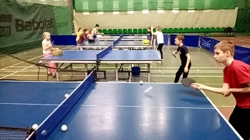 Детский клуб настольного тенниса ttclubs, фото 5