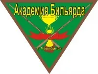 Академия бильярда