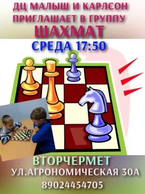 Шахматы