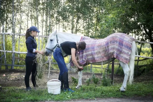 Конные выходные, фото 4