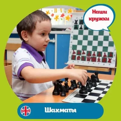 Шахматы, фото 3