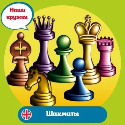Шахматы