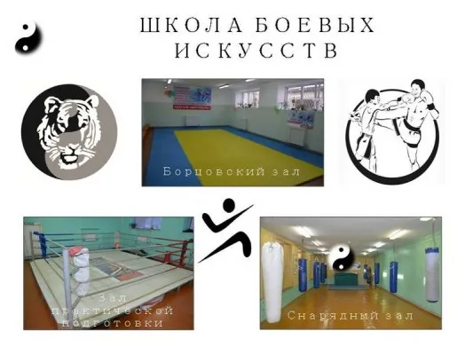 Школа боевых искусств «Файтайгер»