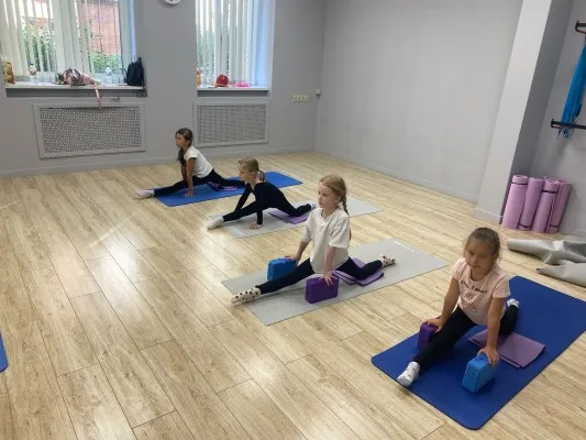 Школа гимнастики GymBalance в Московском районе, фото 4