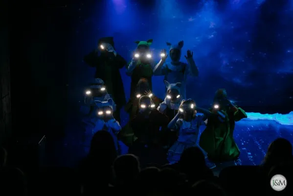 Группа комплексного развития "Мюзикл Preteens" (10-13 лет), фото 2
