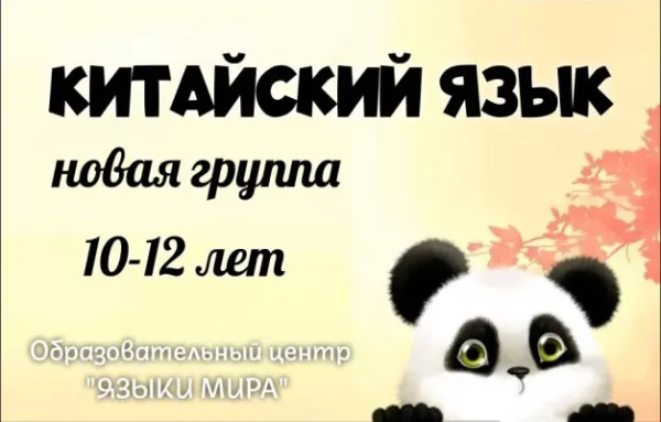 Китайский язык