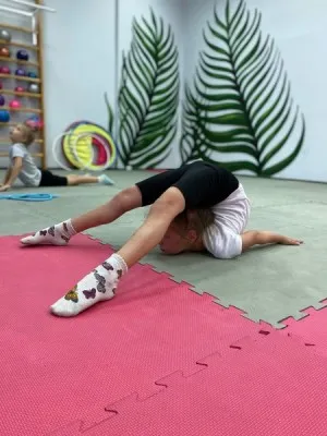 Художественная гимнастика, фото 3