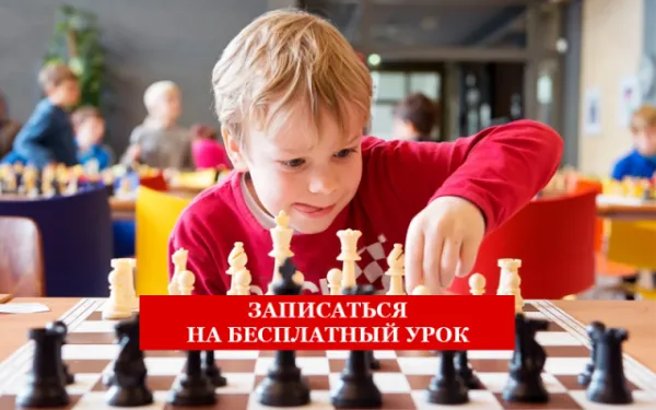 Шахматы