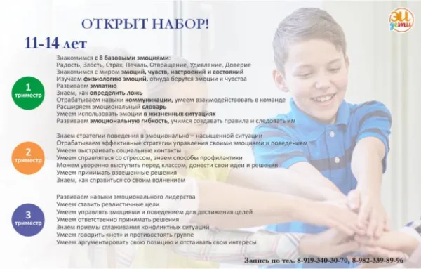 Эмоционально-интеллектуальное лидерство, фото 1