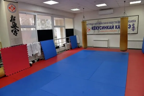 Кёкусинкай карате, фото 3