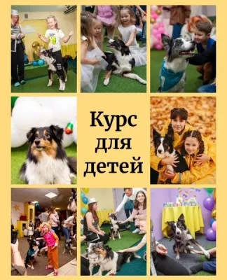 Курс "Юный дрессировщик собак"