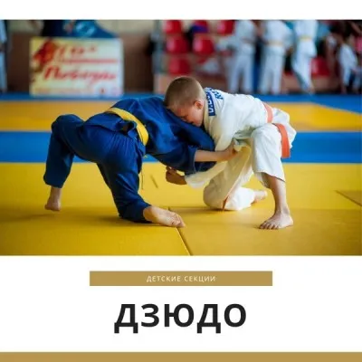 Дзюдо