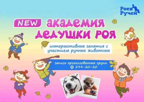 Академия дедушки Роя, фото 4