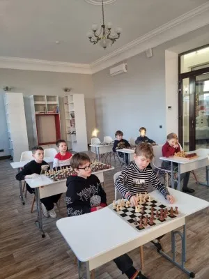 Шахматы для начинающих, фото 3