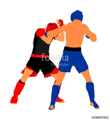 Смешанные единоборства (миксфайт), фото 4