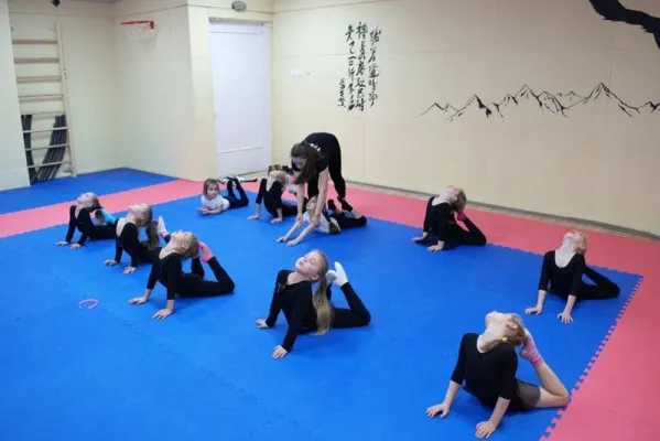 школа художественной гимнастики GymBalance