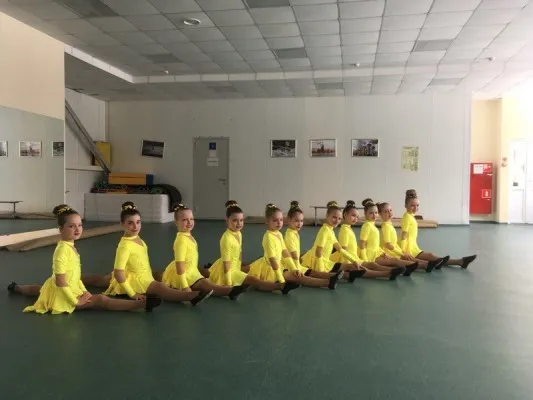 Черлидинг, чир-спорт, группа поддержки (в пос. Мехзавод)