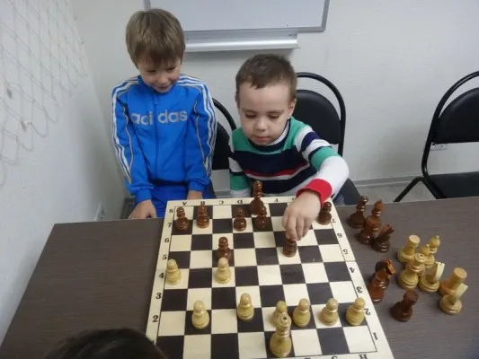Шахматы
