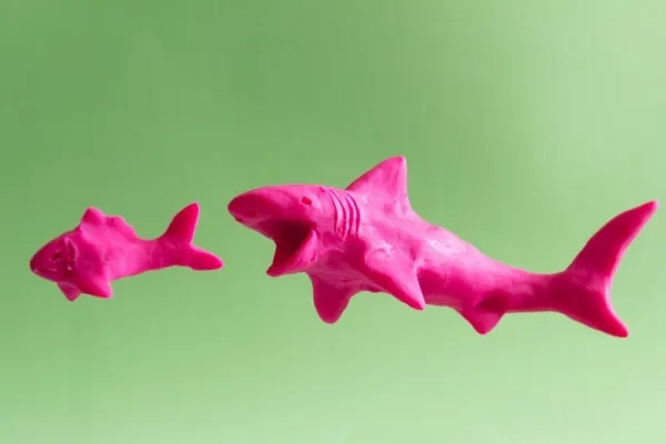 Мультипликация