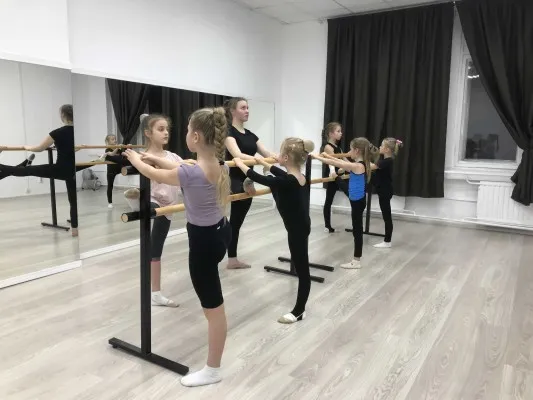 Высшая школа художественной гимнастики, фото 2